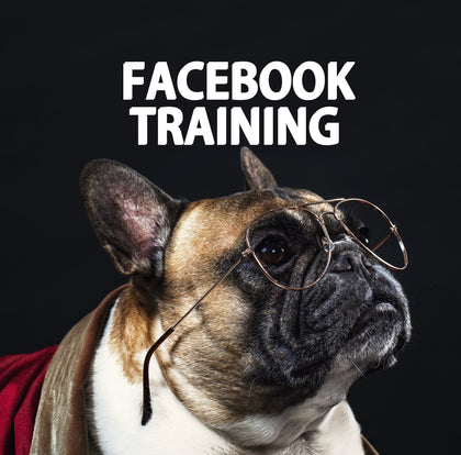 FACEBOOK TRAINING