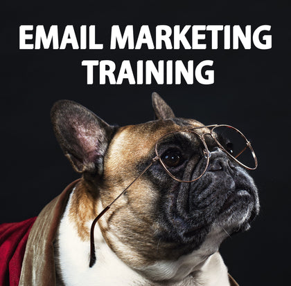 EMAIL MARKETING TRAINING